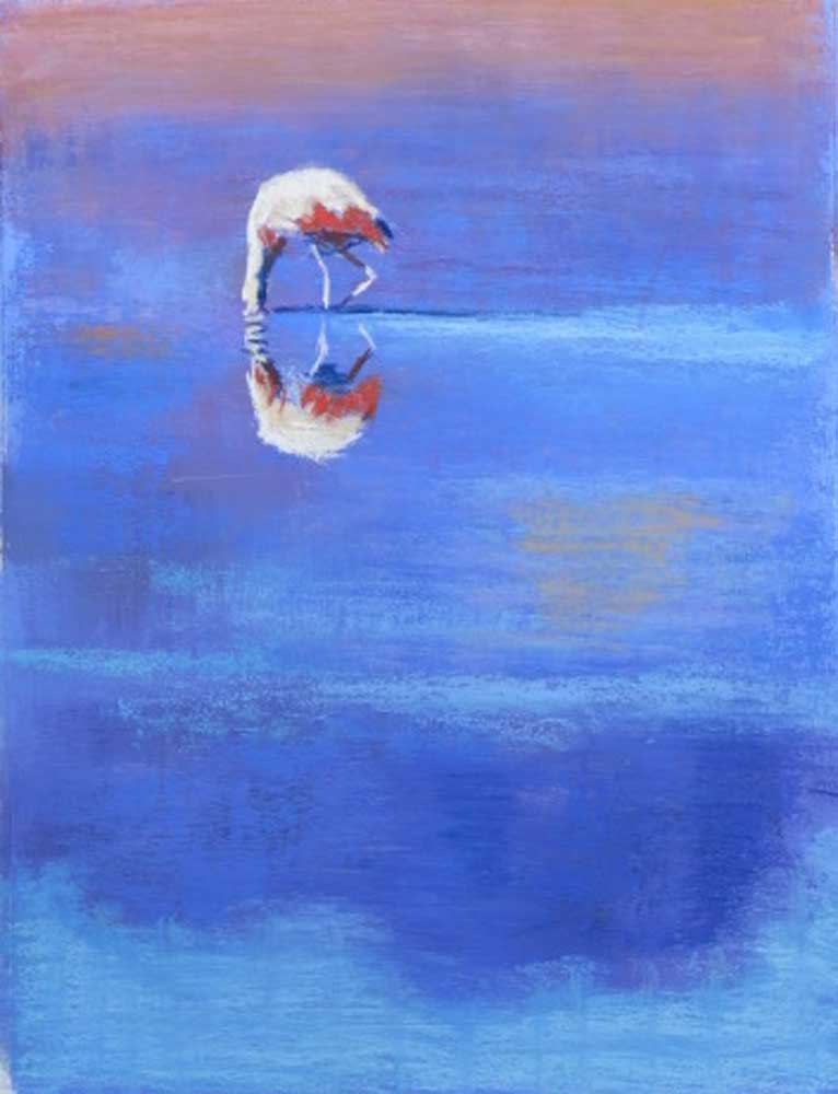 flamingo-in-politiek-vaarwater-pastel-47-x-61